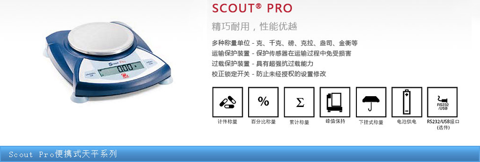 Scout Proyʽƽϵ